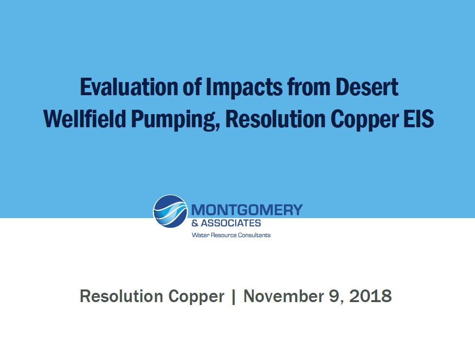 Thumbnail image of document cover: ADWR/Desert Wellfield Modeling Meeting