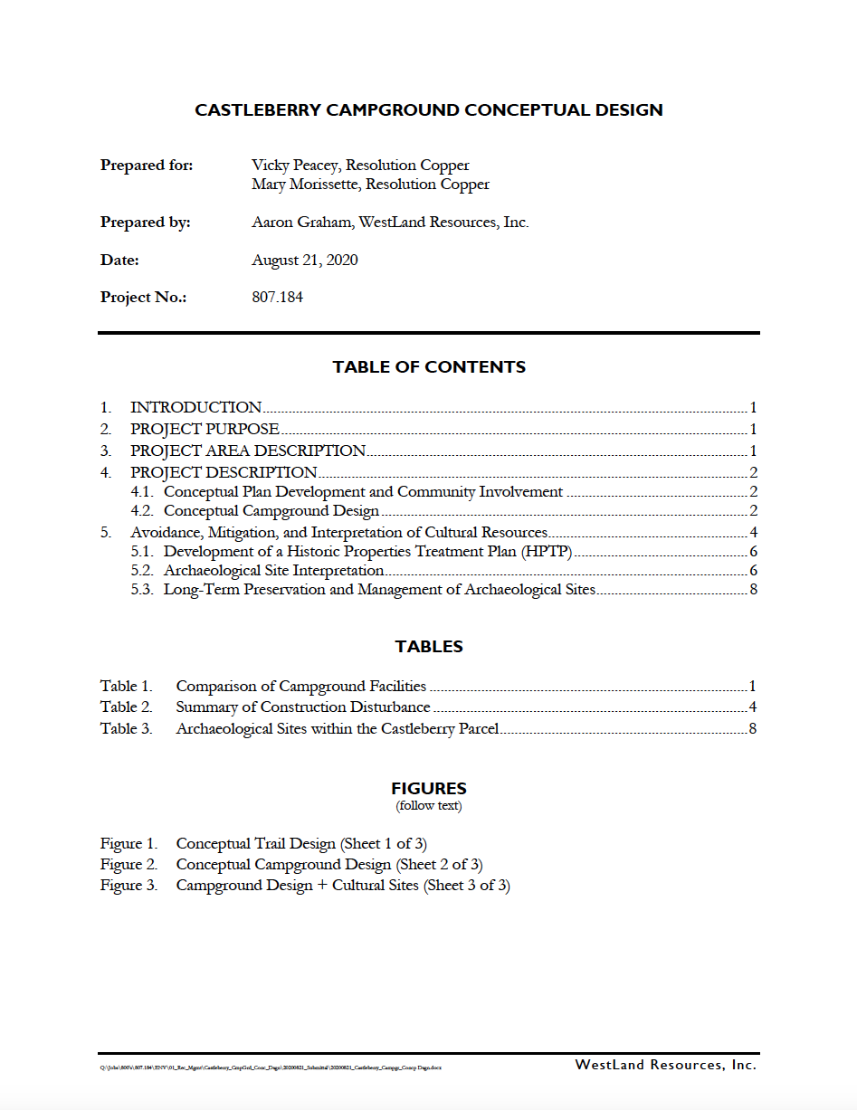 Thumbnail image of document cover: Castleberry Campground Conceptual Design