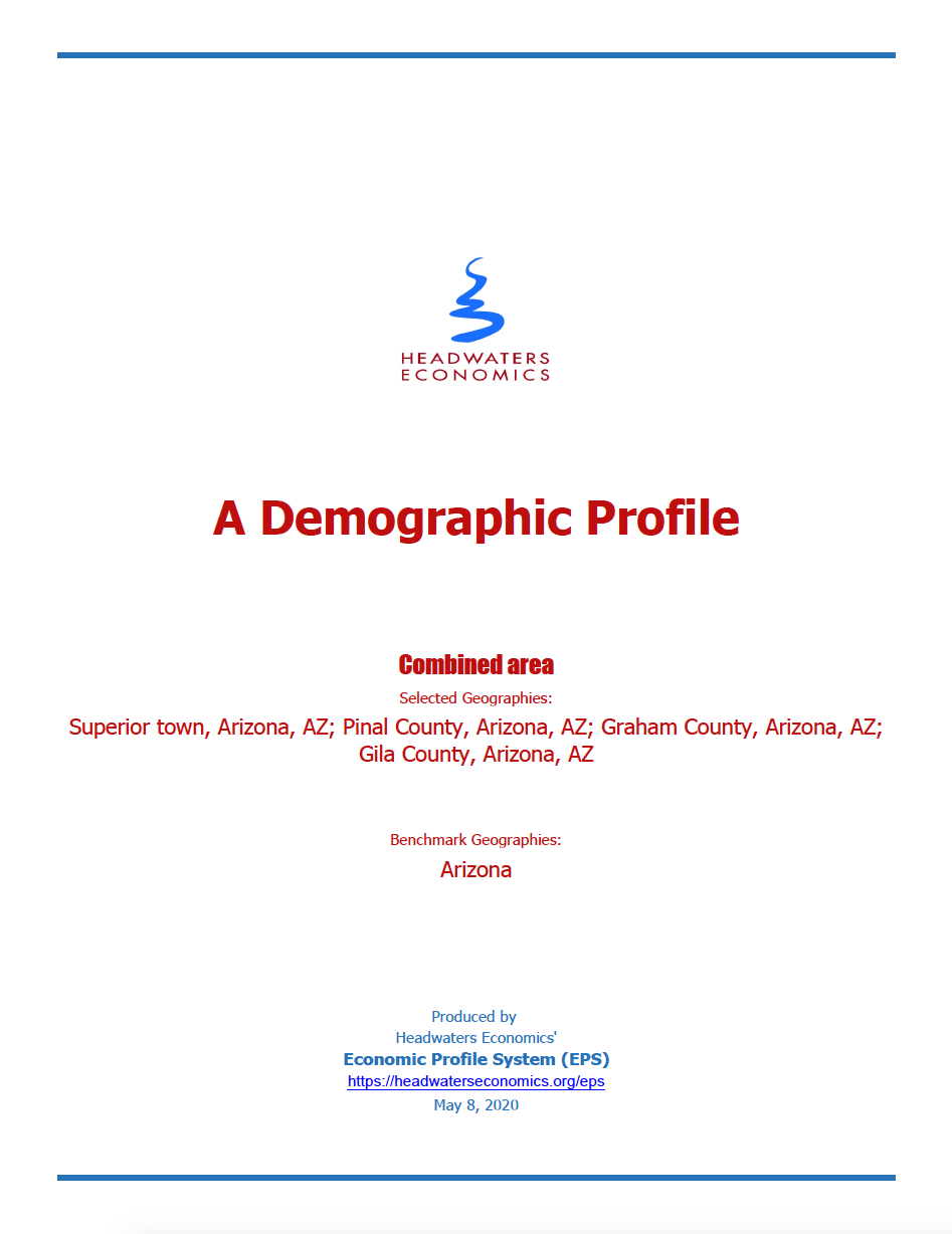 Thumbnail image of document cover: A Demographic Profile: Superior Town