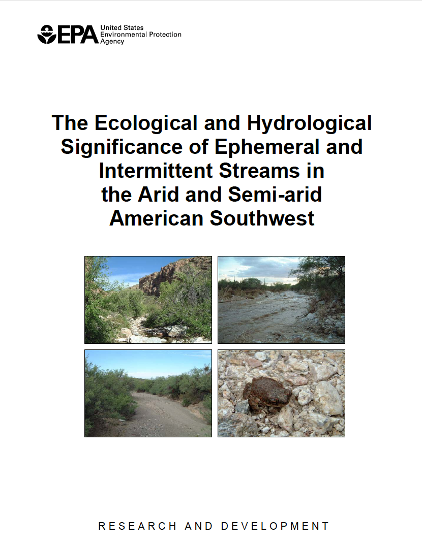 Thumbnail image of document cover: The Ecological and Hydrological Significance of Ephemeral and Intermittent Streams in the Arid and Semi-arid American Southwest