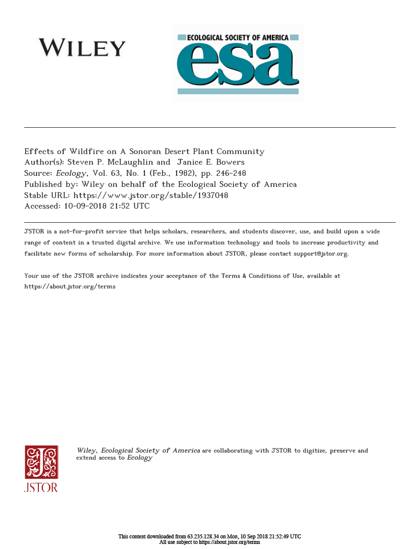 Thumbnail image of document cover: Effects of Wildfire on a Sonoran Desert Plant Community