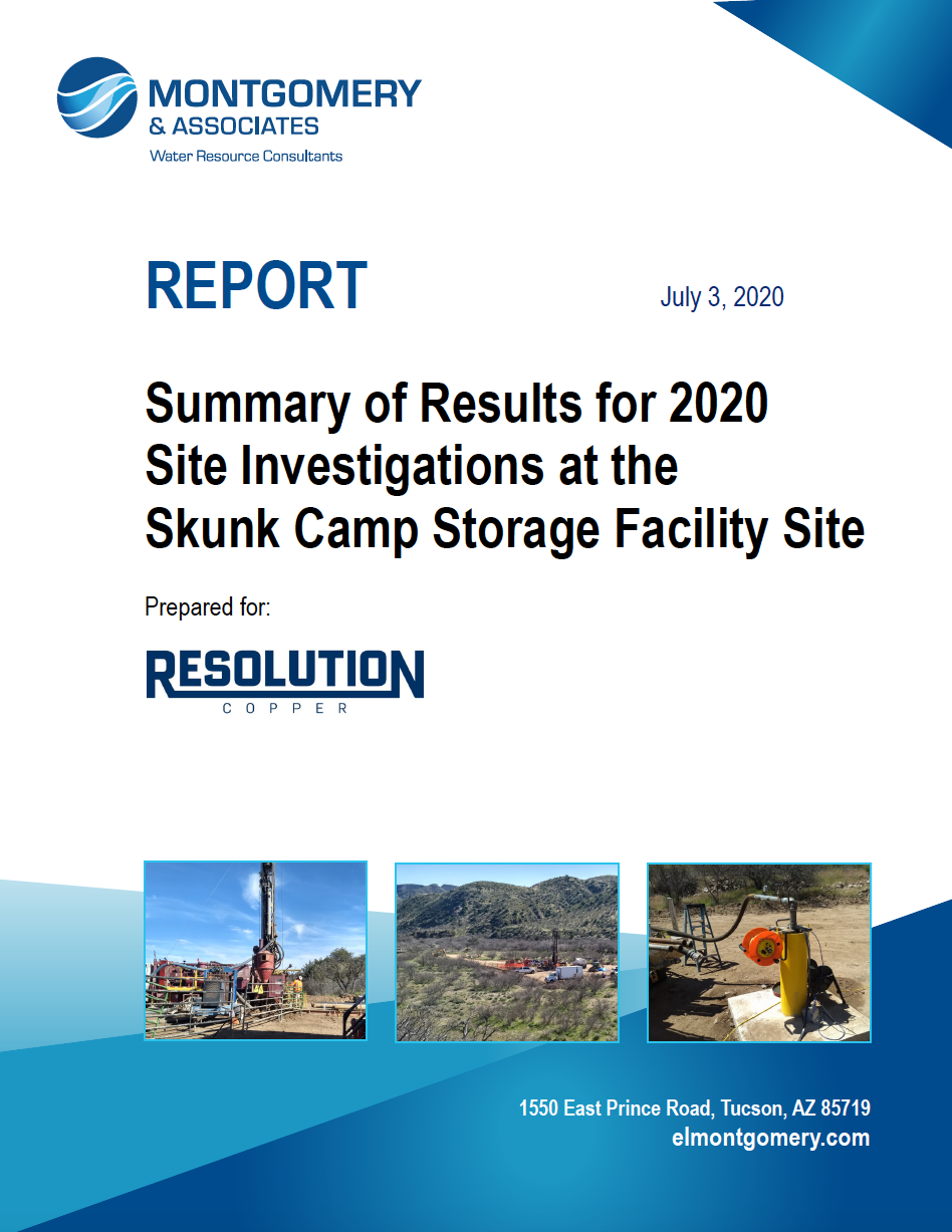 Thumbnail image of document cover: Summary of Results for 2020 Site Investigations at the Skunk Camp Storage Facility