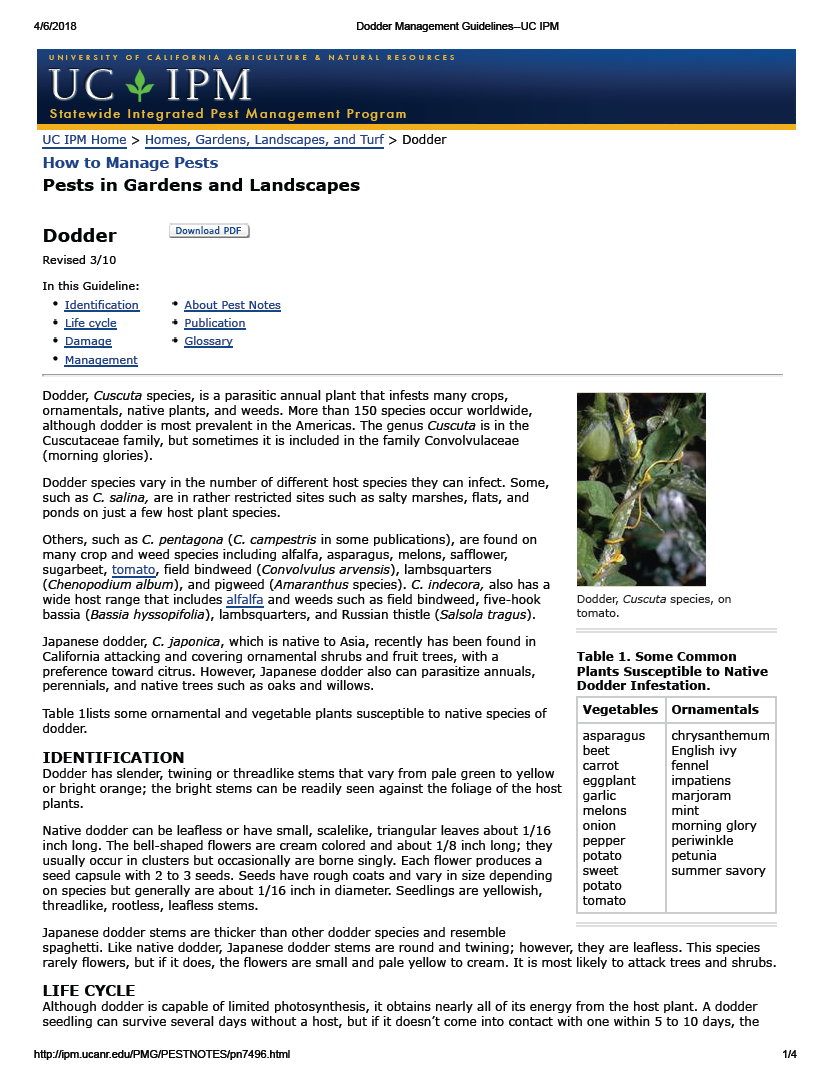 Thumbnail image of document cover: Pests in Gardens and Landscapes: Dodder Management Guidelines