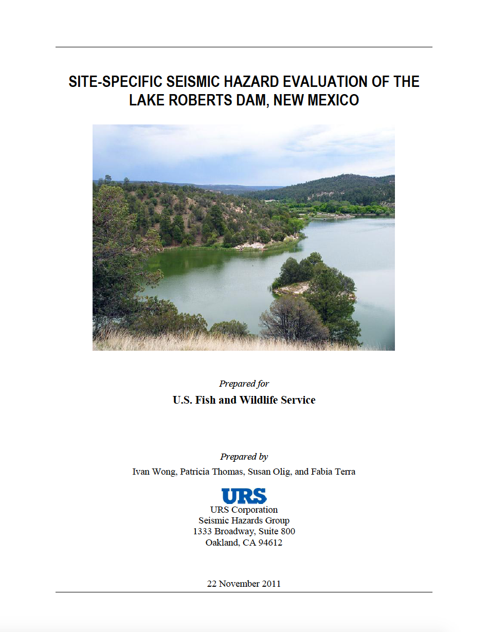 Thumbnail image of document cover: Site-Specific Seismic Hazard Evaluation of the Lake Roberts Dam, New Mexico