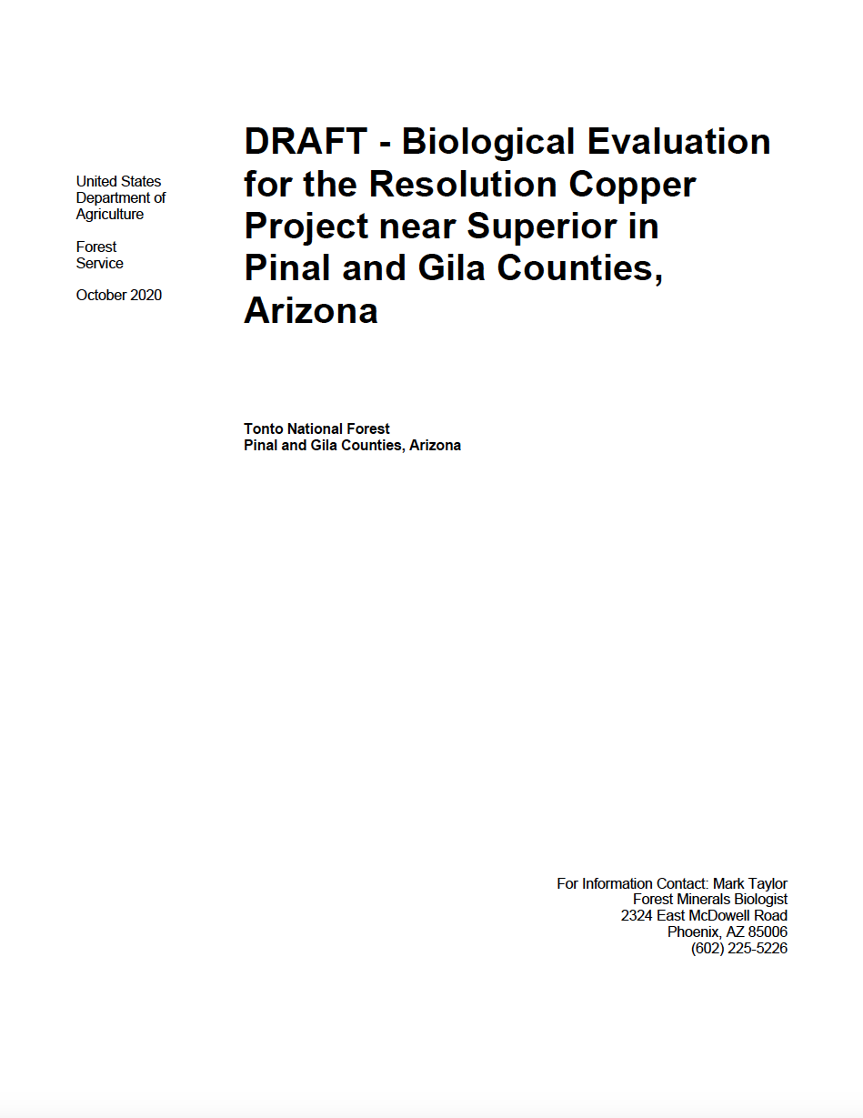 Thumbnail image of document cover: DRAFT - Biological Evaluation for the Resolution Copper Project Near Superior, in Pinal and Gila Counties, Arizona