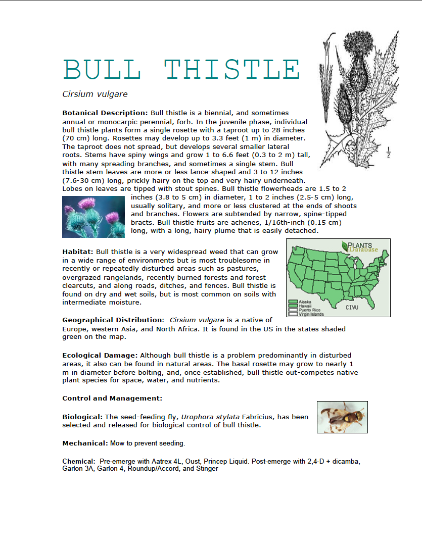 Thumbnail image of document cover: Plant Fact Sheets