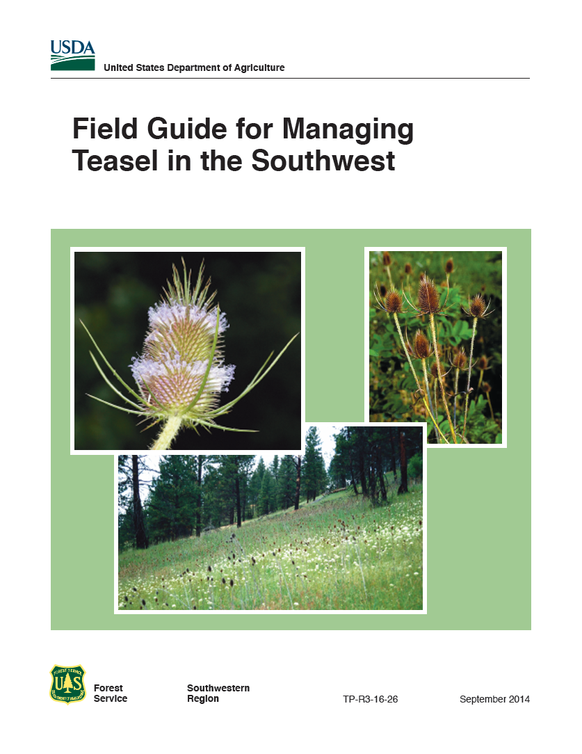 Thumbnail image of document cover: Field Guide for Managing Teasel in the Southwest