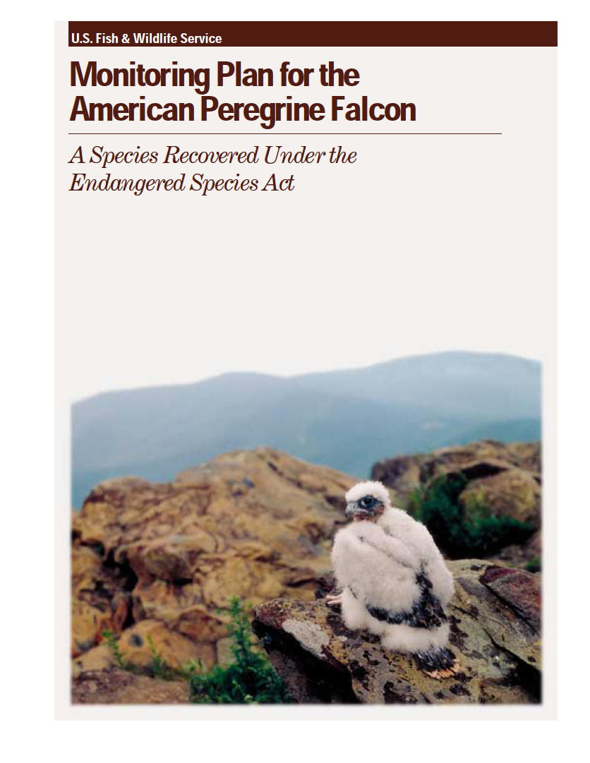 Thumbnail image of document cover: Monitoring Plan for the American Peregrine Falcon: A Species Recovered Under the Endangered Species Act