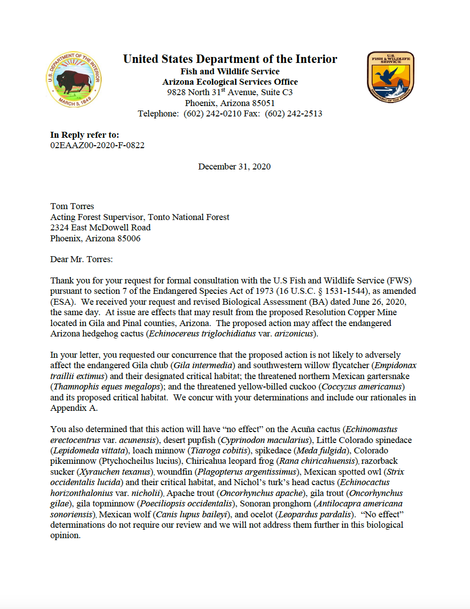 Thumbnail image of document cover: Biological Opinion on the Resolution Copper Project and Land Exchange