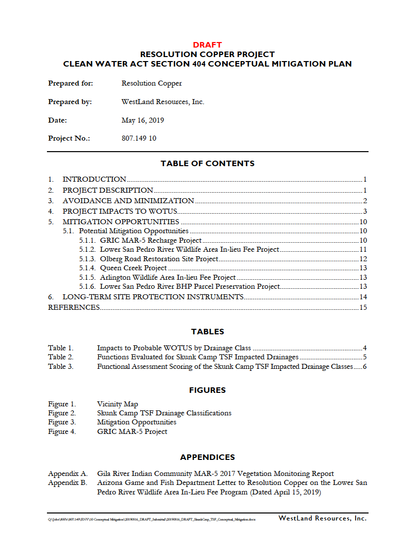 Thumbnail image of document cover: DRAFT - Resolution Copper Project Clean Water Act, Section 404, Conceptual Mitigation Plan