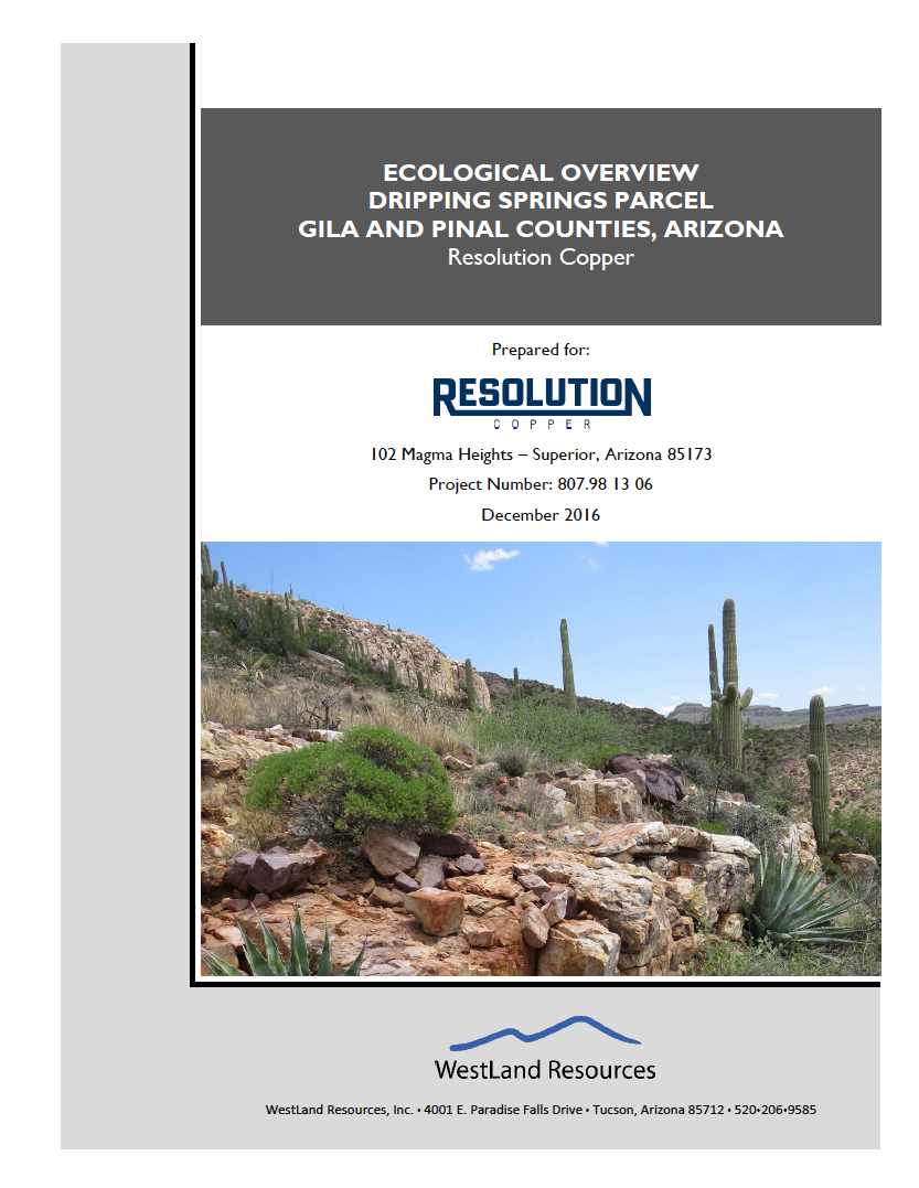 Thumbnail image of document cover: Ecological Overview: Dripping Springs Parcel, Gila and Pinal Counties, Arizona