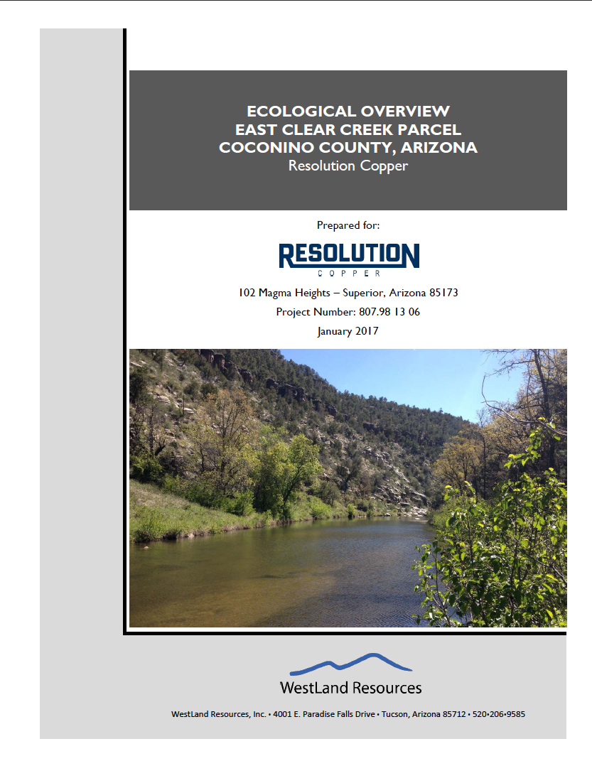 Thumbnail image of document cover: Ecological Overview East Clear Creek Parcel