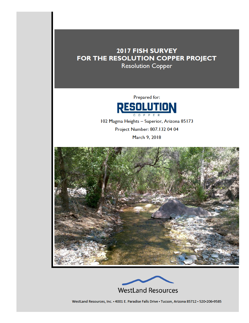 Thumbnail image of document cover: 2017 Fish Survey for the Resolution Copper Project