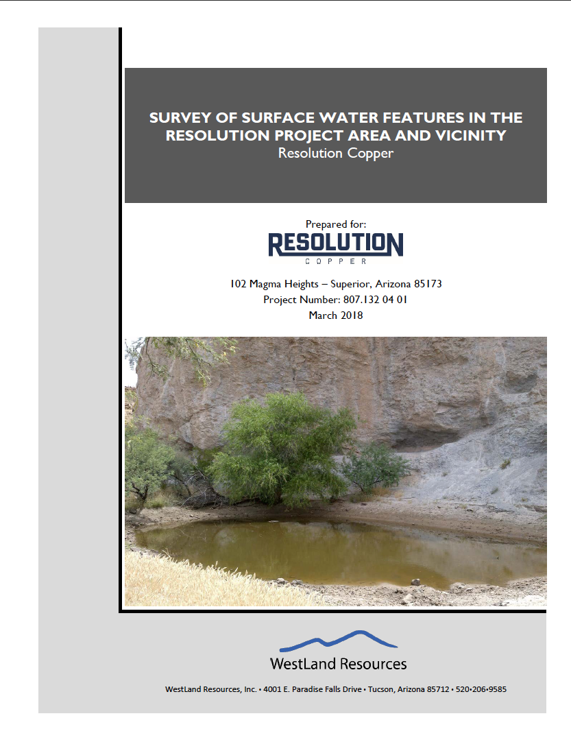 Thumbnail image of document cover: Survey of Surface Water Features in the Resolution Project Area and Vicinity