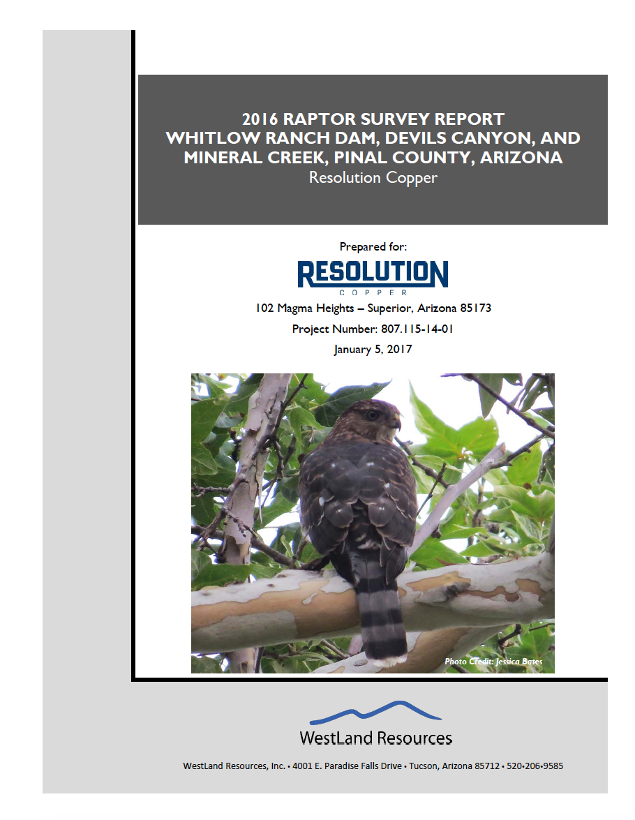 Thumbnail image of document cover: 2016 Raptor Survey Report Whitlow Ranch Dam, Devils Canyon, and Mineral Creek, Pinal County, Arizona