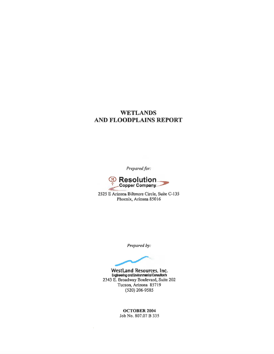 Thumbnail image of document cover: Wetlands and Floodplains Report