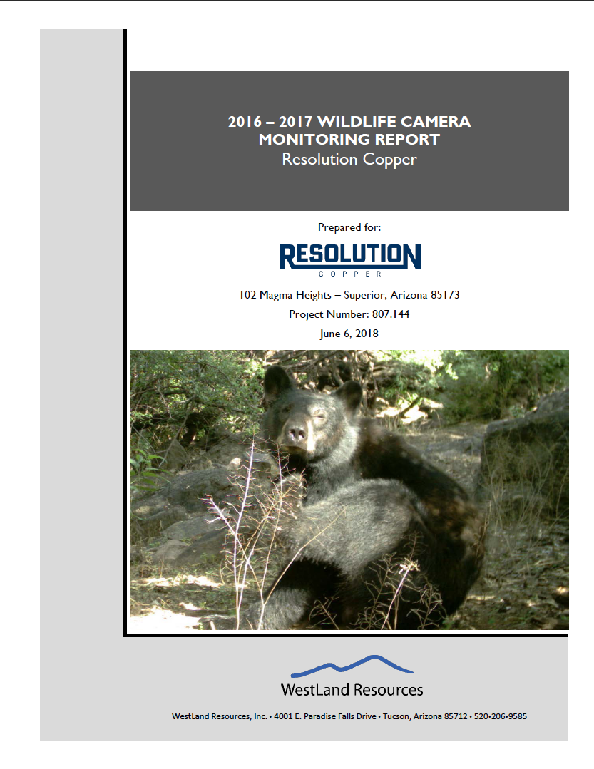 Thumbnail image of document cover: 2016 - 2017 Wildlife Camera Monitoring Report