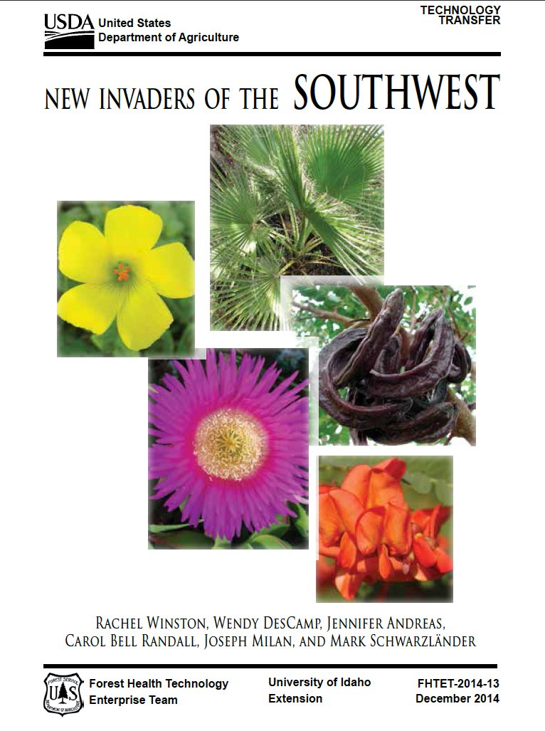 Thumbnail image of document cover: New Invaders of the Southwest